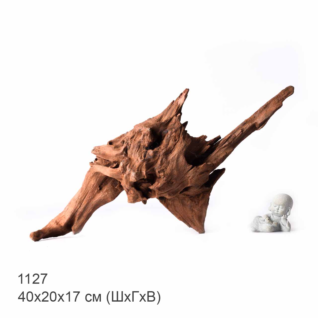 Коряга MASHA BLOOM "Железное дерево" затонувшая мангровая XL - 1127