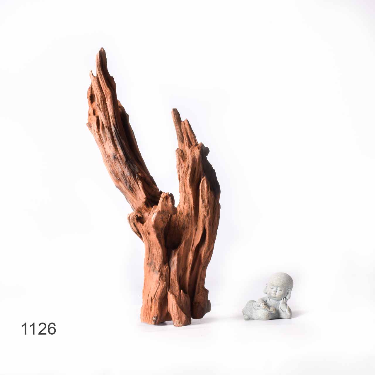 Коряга MASHA BLOOM "Железное дерево" затонувшая мангровая XL - 1126