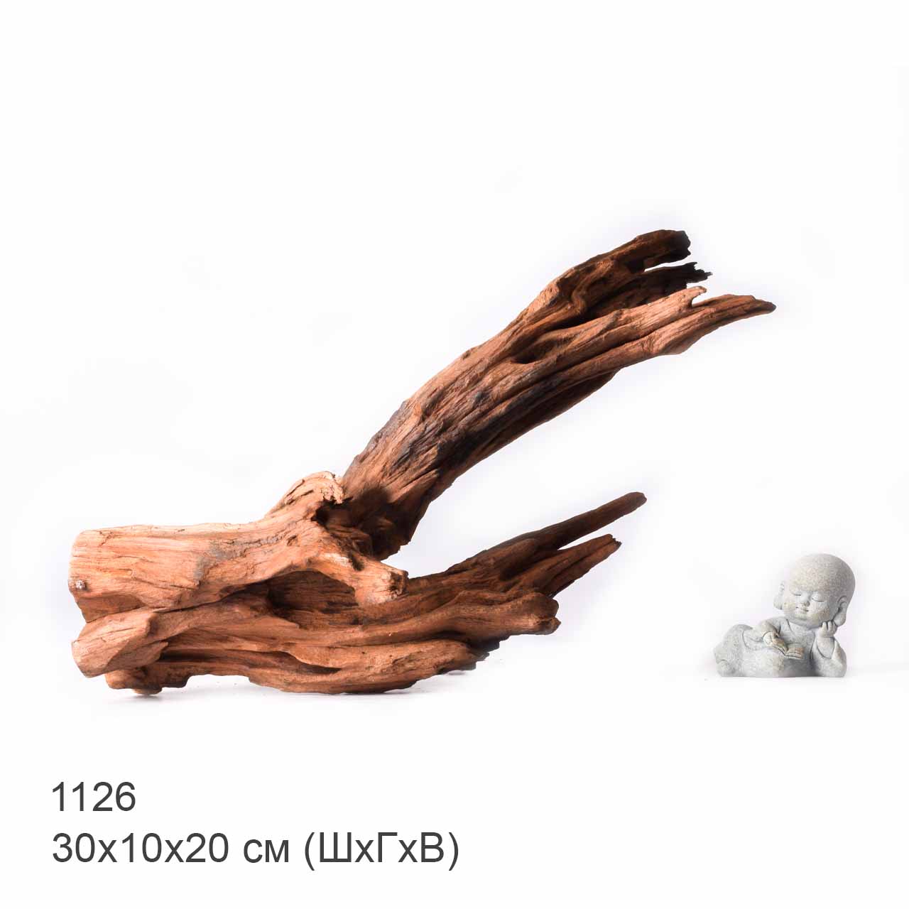 Коряга MASHA BLOOM "Железное дерево" затонувшая мангровая XL - 1126