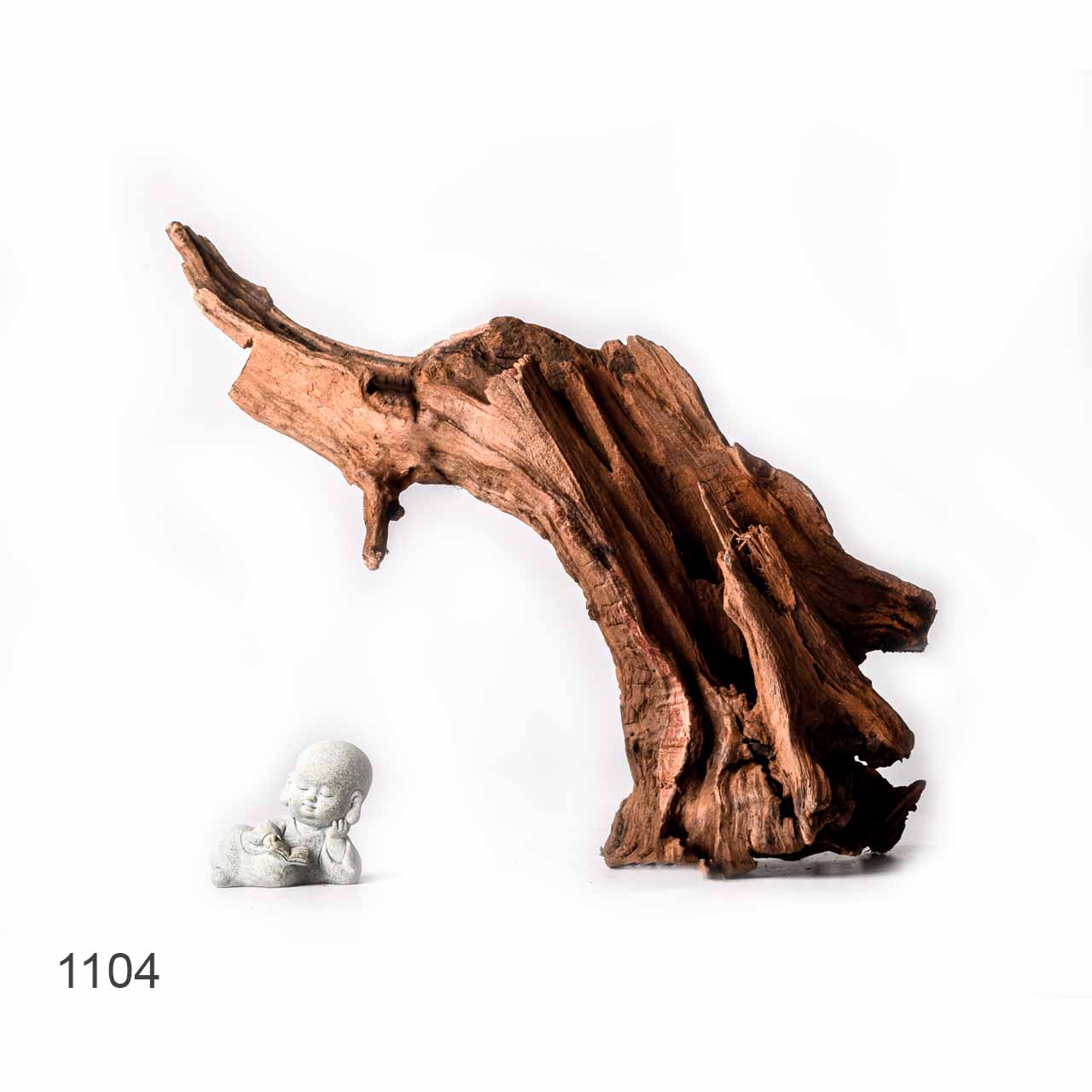 Коряга MASHA BLOOM "Железное дерево" затонувшая мангровая XL - 1104