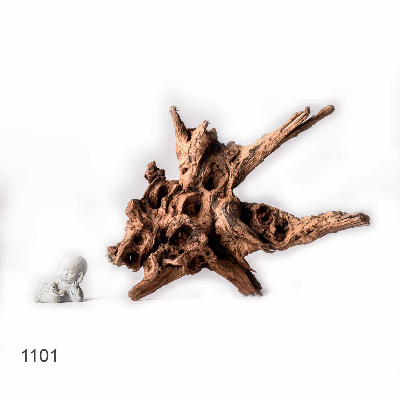 Коряга MASHA BLOOM "Железное дерево" затонувшая мангровая XL - 1101