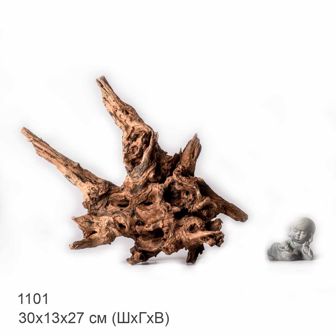 Коряга MASHA BLOOM "Железное дерево" затонувшая мангровая XL - 1101