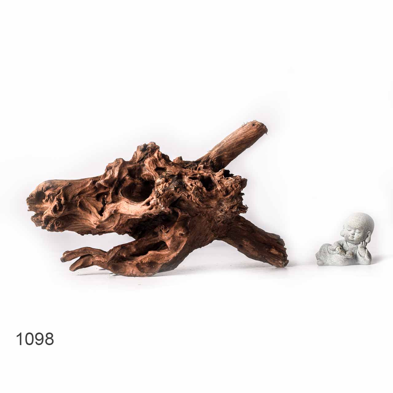 Коряга MASHA BLOOM "Железное дерево" затонувшая мангровая XL - 1098