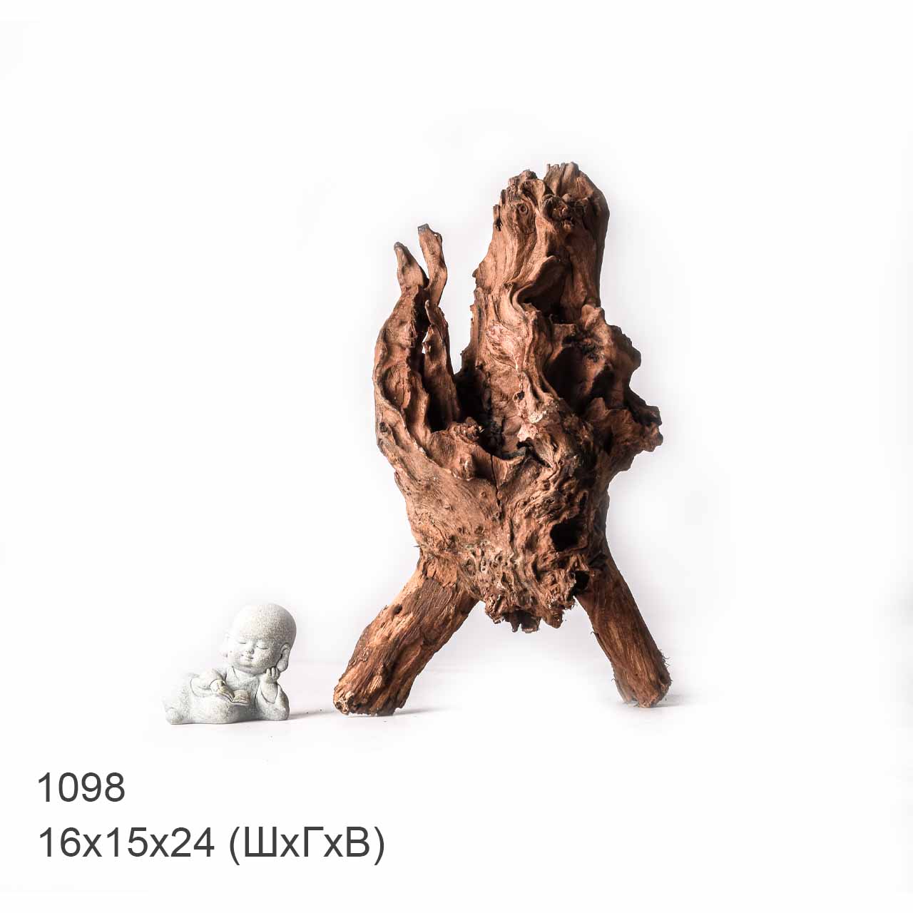 Коряга MASHA BLOOM "Железное дерево" затонувшая мангровая XL - 1098