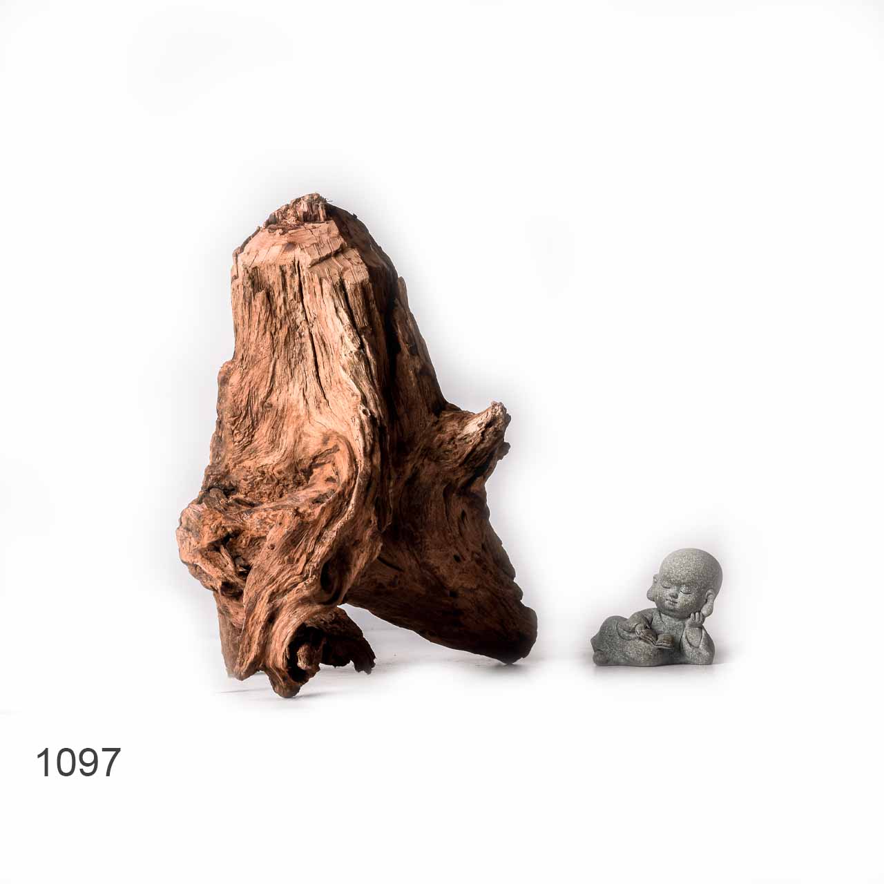 Коряга MASHA BLOOM "Железное дерево" затонувшая мангровая XL - 1097