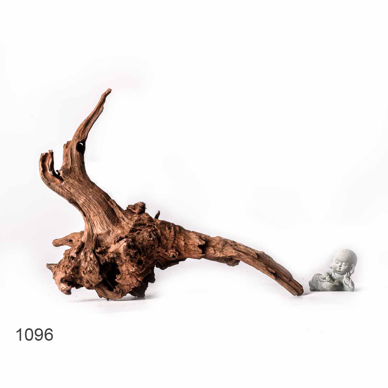 Коряга MASHA BLOOM "Железное дерево" затонувшая мангровая XL - 1096