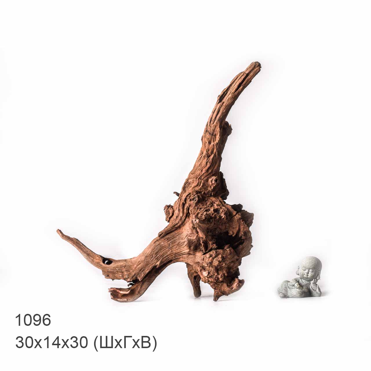 Коряга MASHA BLOOM "Железное дерево" затонувшая мангровая XL - 1096