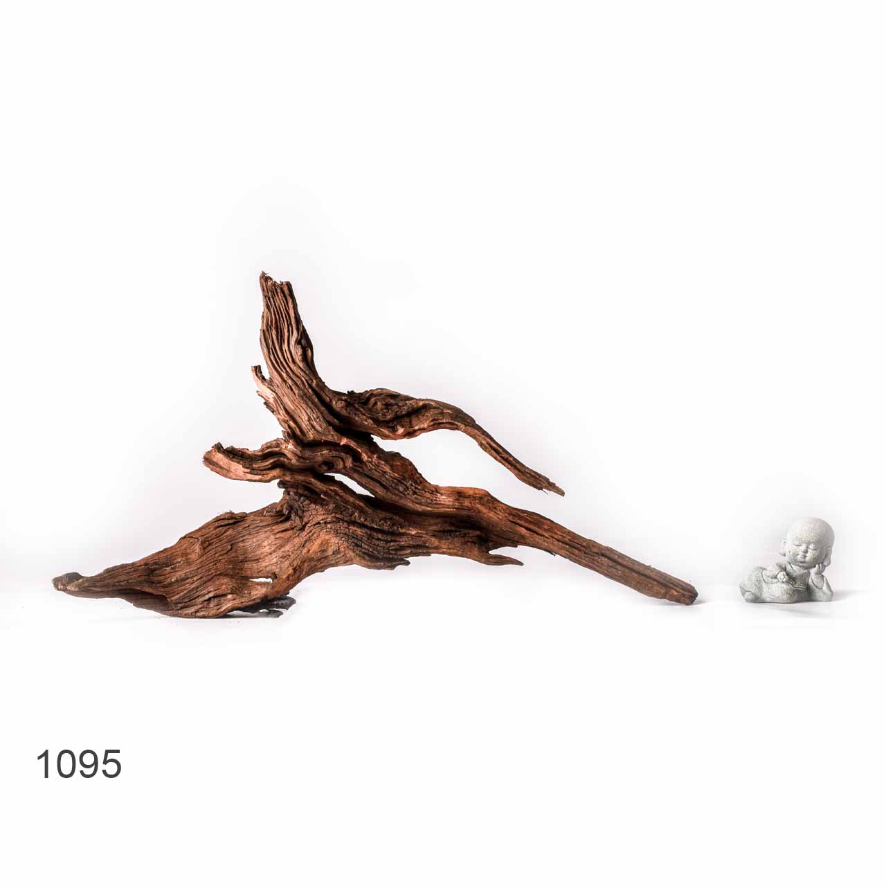 Коряга MASHA BLOOM "Железное дерево" затонувшая мангровая XL - 1095