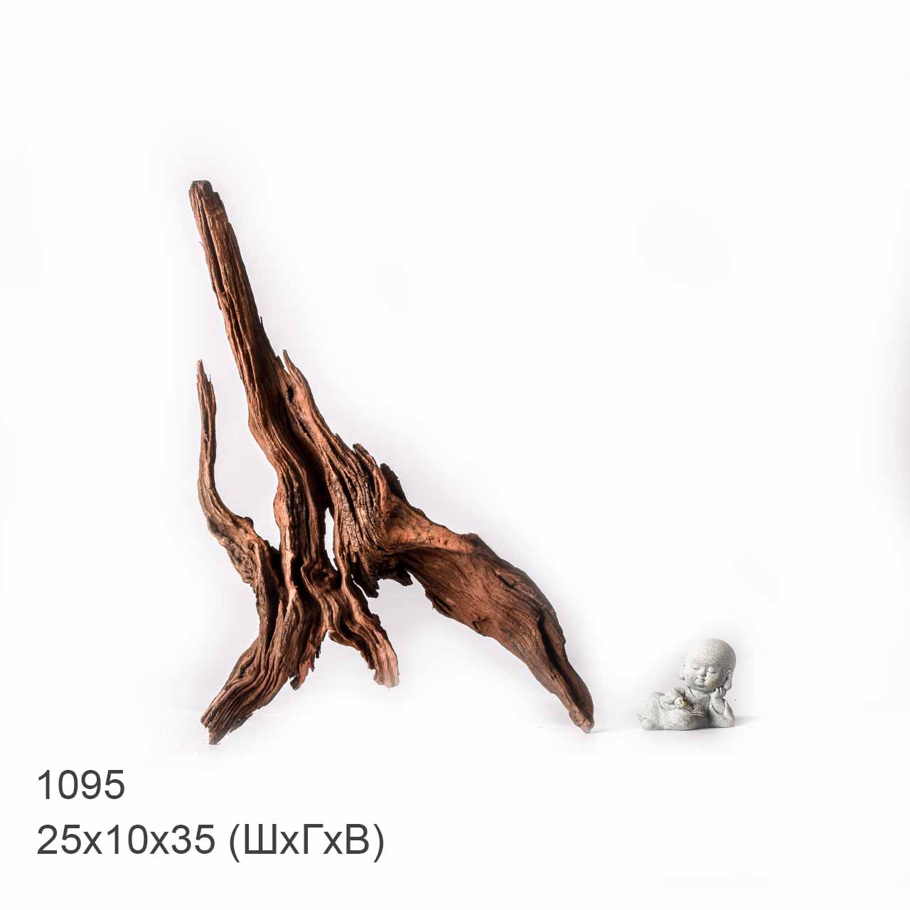 Коряга MASHA BLOOM "Железное дерево" затонувшая мангровая XL - 1095