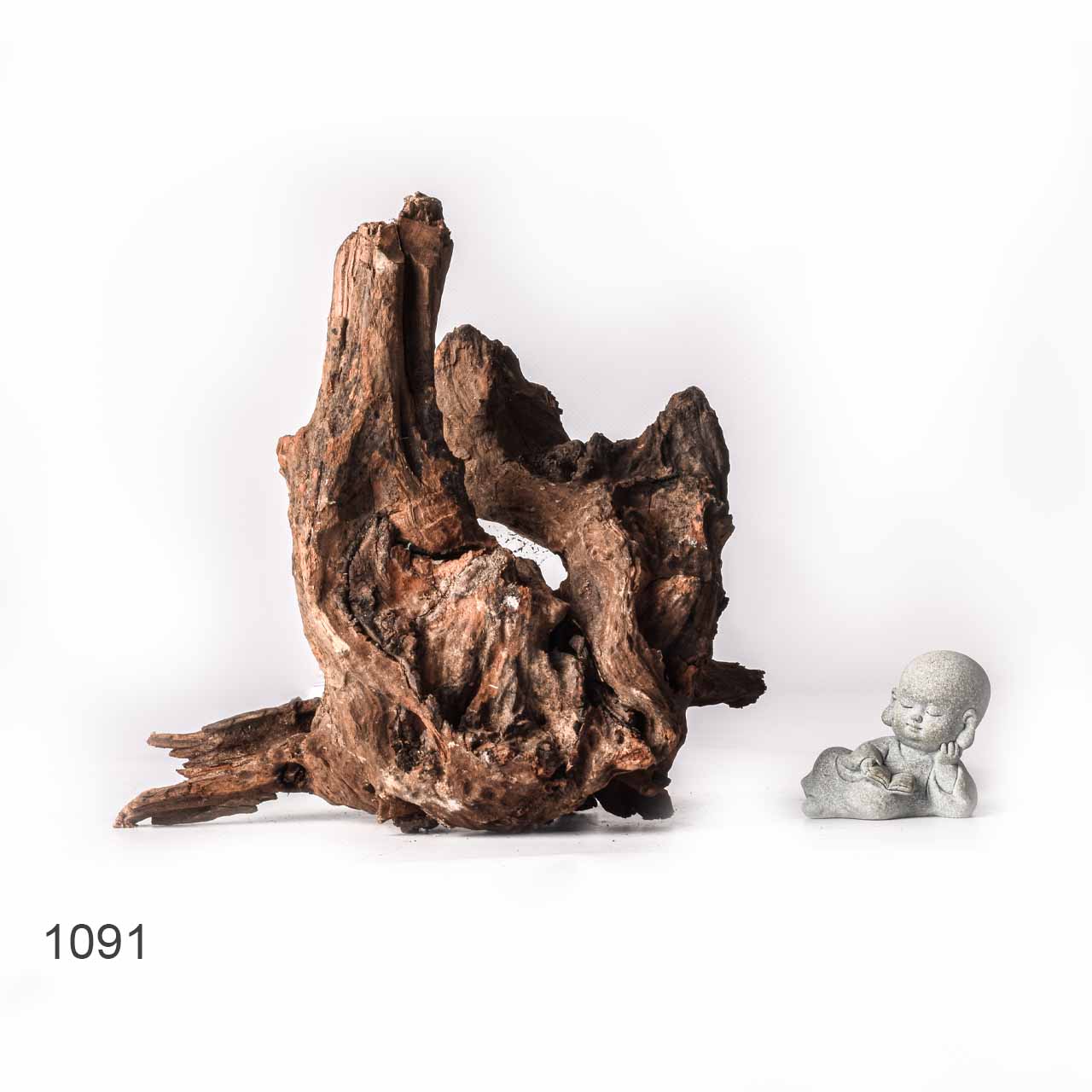 Коряга MASHA BLOOM "Железное дерево" затонувшая мангровая XL - 1091