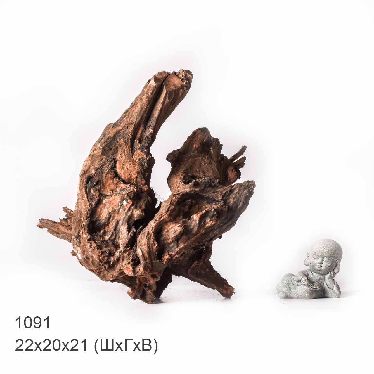 Коряга MASHA BLOOM "Железное дерево" затонувшая мангровая XL - 1091