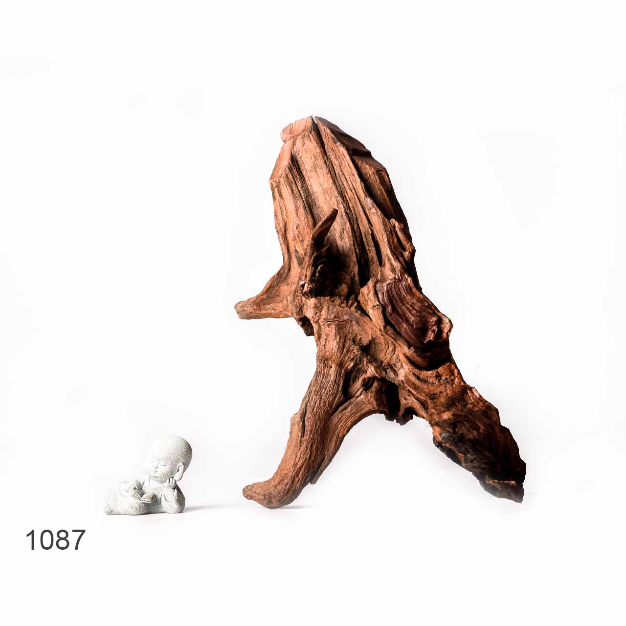 Коряга MASHA BLOOM "Железное дерево" затонувшая мангровая XL - 1087