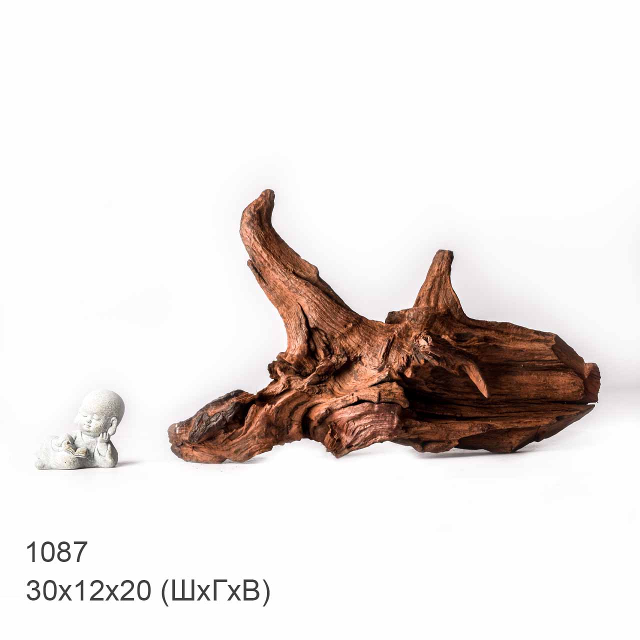 Коряга MASHA BLOOM "Железное дерево" затонувшая мангровая XL - 1087