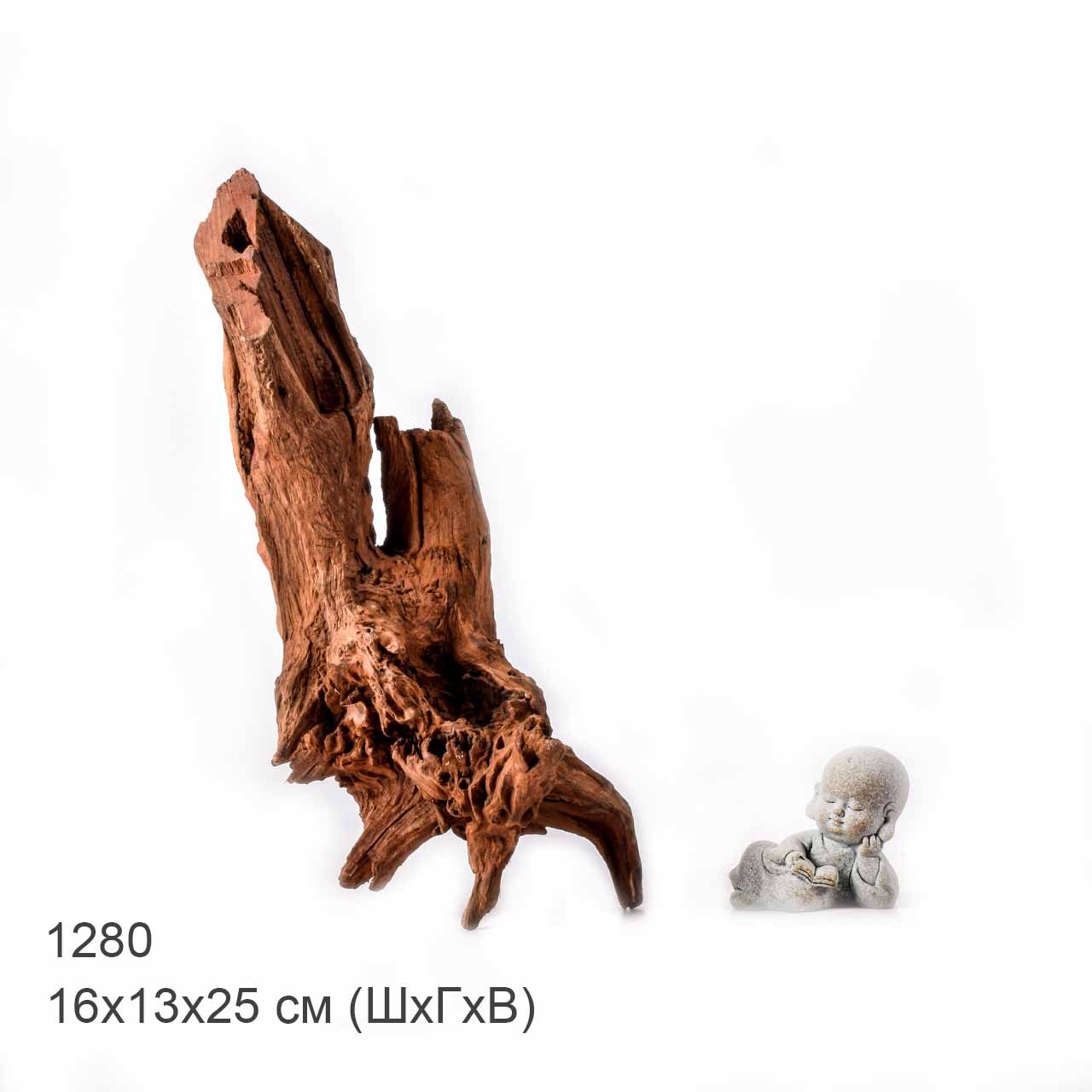 Коряга MASHA BLOOM "Железное дерево" затонувшая мангровая L - 1280