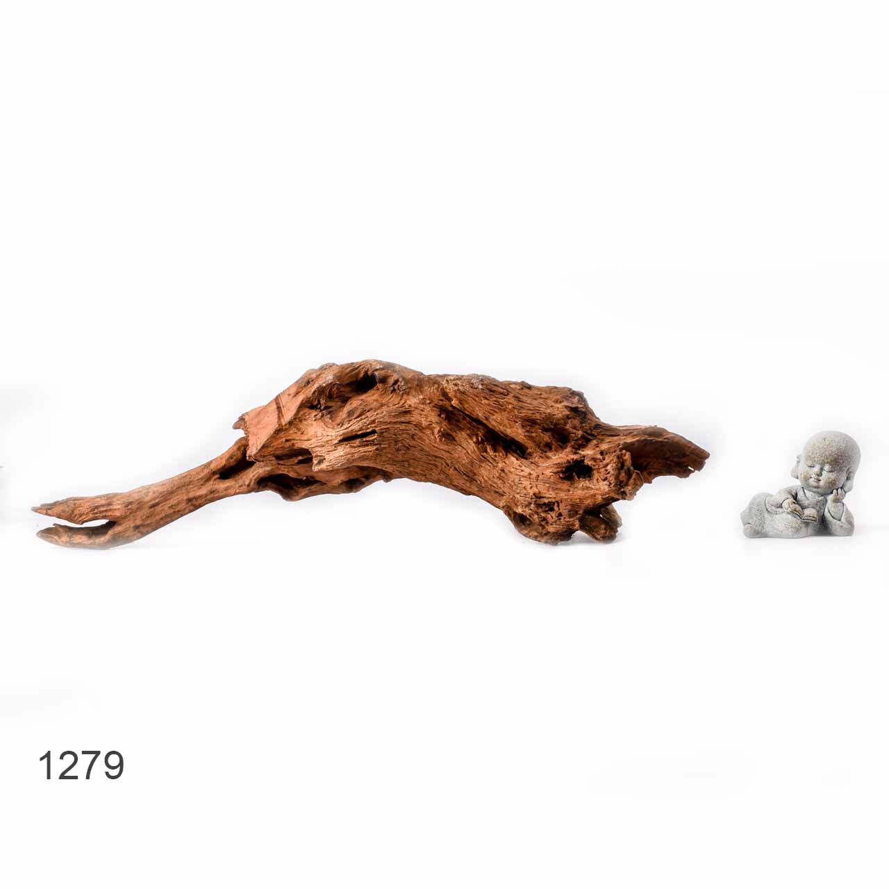 Коряга MASHA BLOOM "Железное дерево" затонувшая мангровая L - 1279