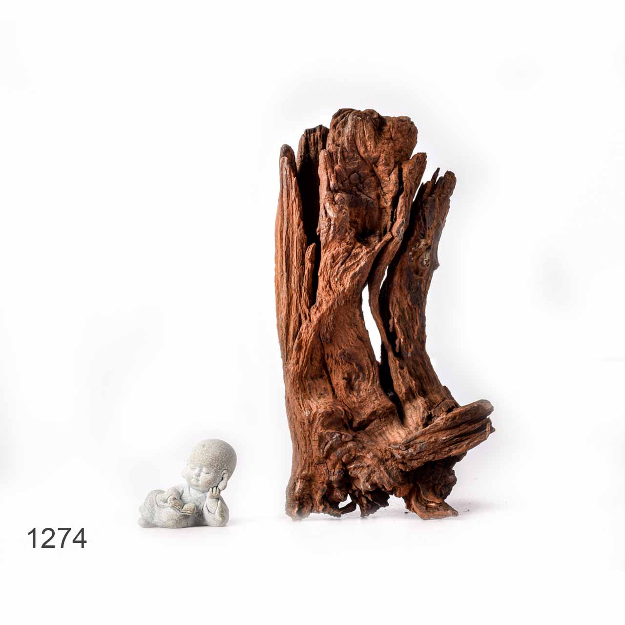 Коряга MASHA BLOOM "Железное дерево" затонувшая мангровая L - 1274