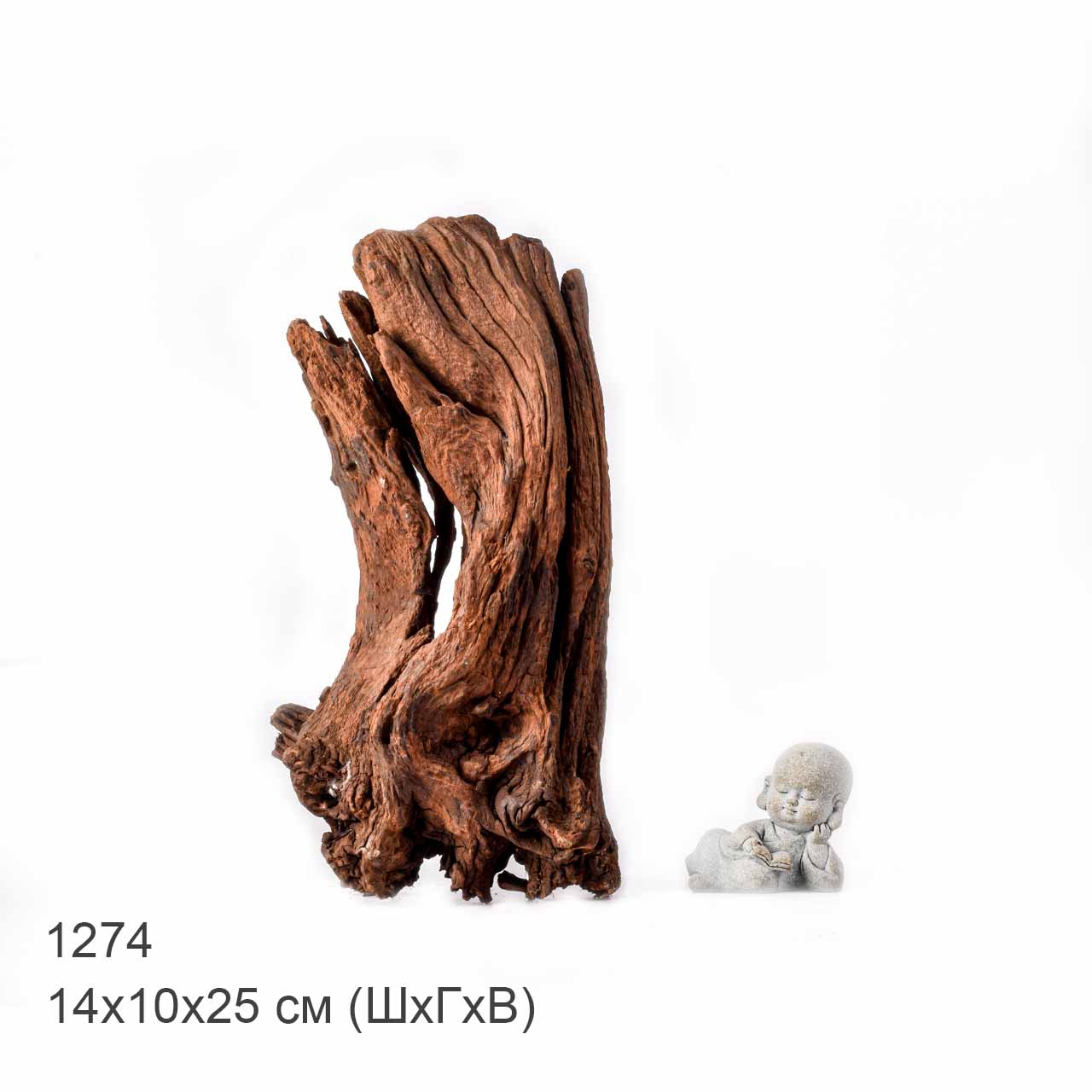 Коряга MASHA BLOOM "Железное дерево" затонувшая мангровая L - 1274