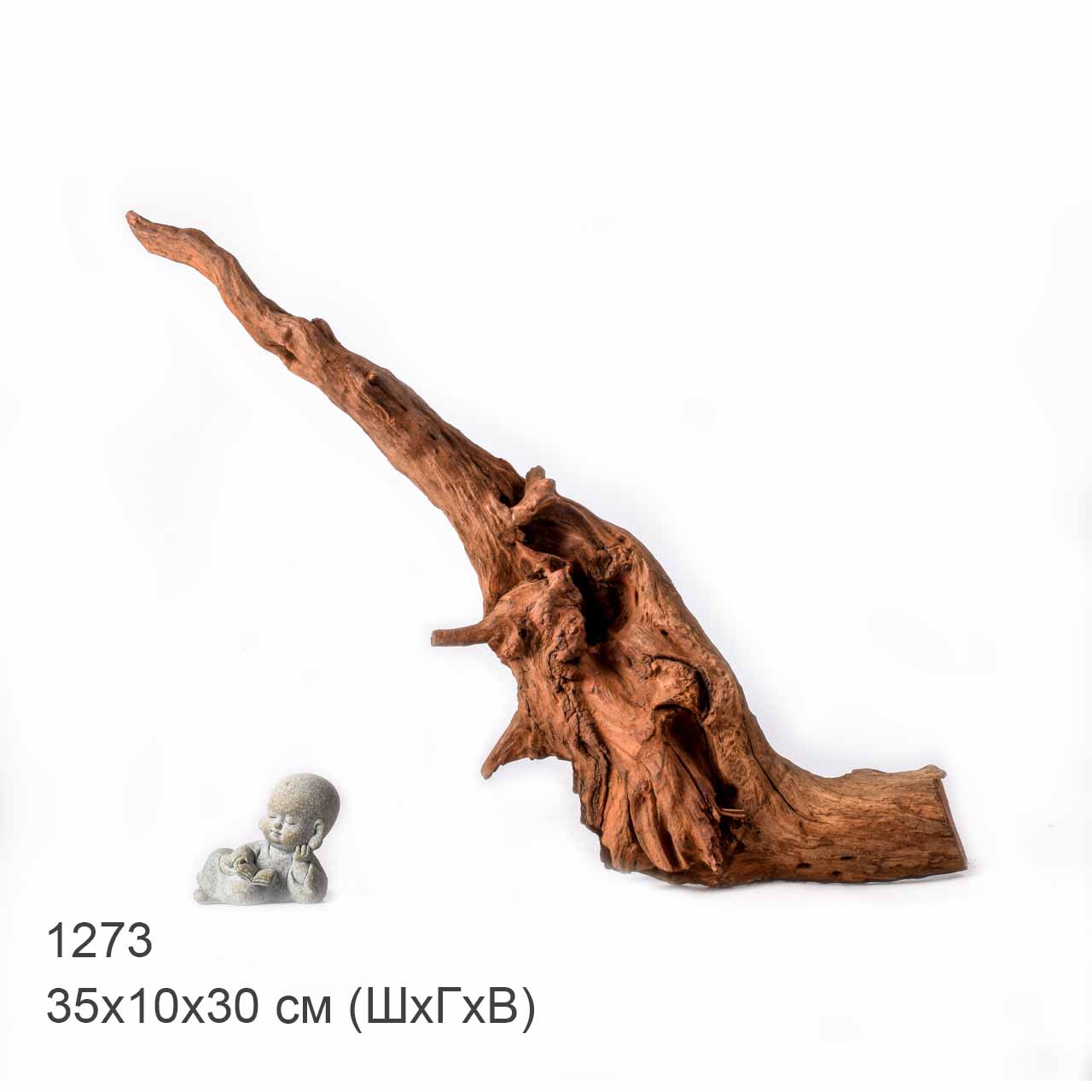 Коряга MASHA BLOOM "Железное дерево" затонувшая мангровая L - 1273