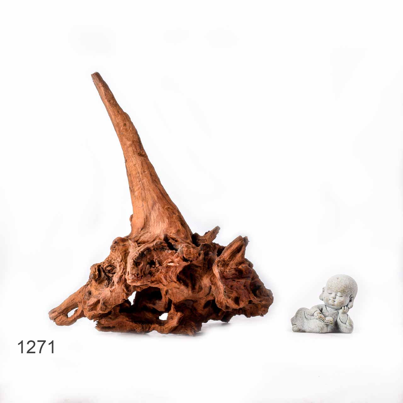 Коряга MASHA BLOOM "Железное дерево" затонувшая мангровая L - 1271