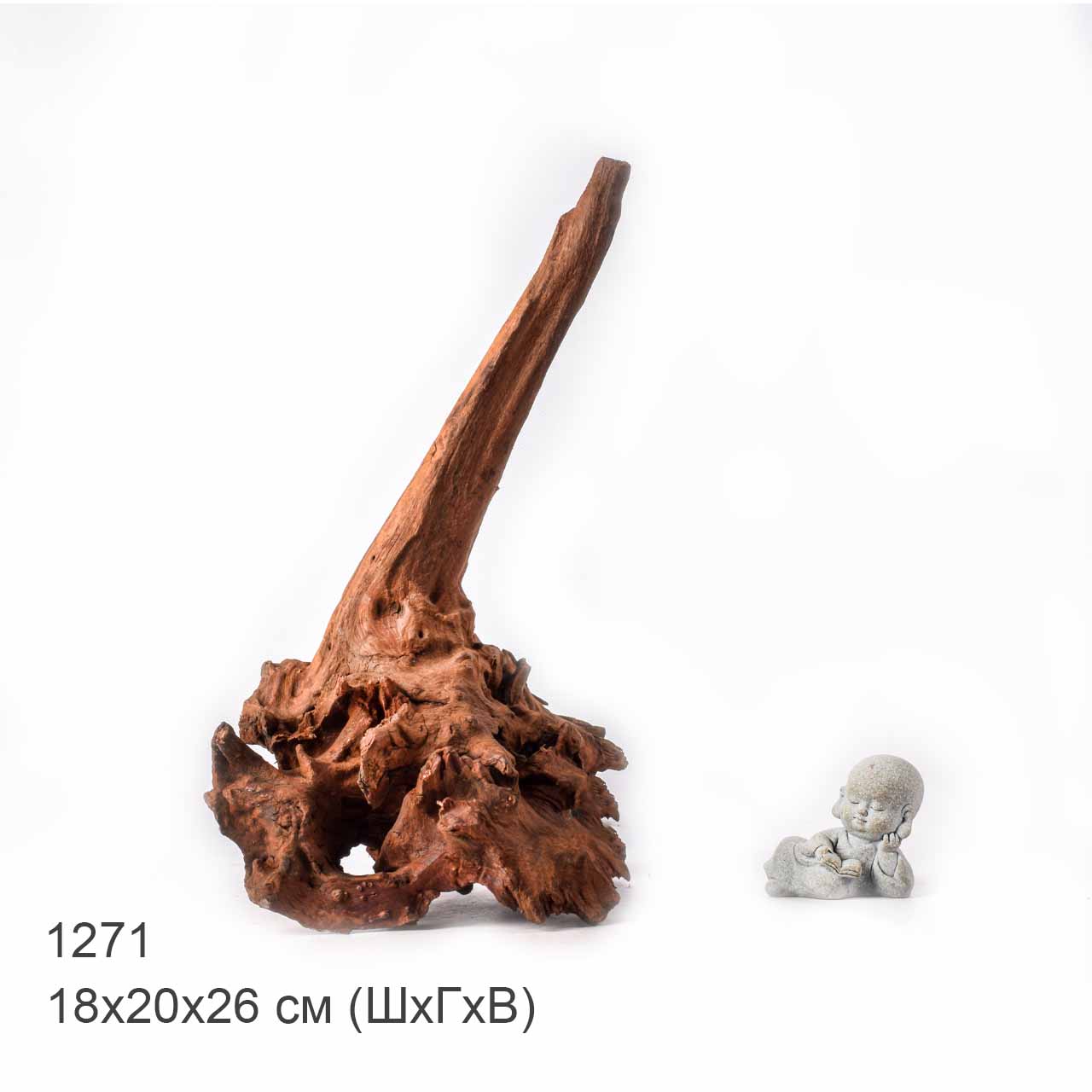 Коряга MASHA BLOOM "Железное дерево" затонувшая мангровая L - 1271