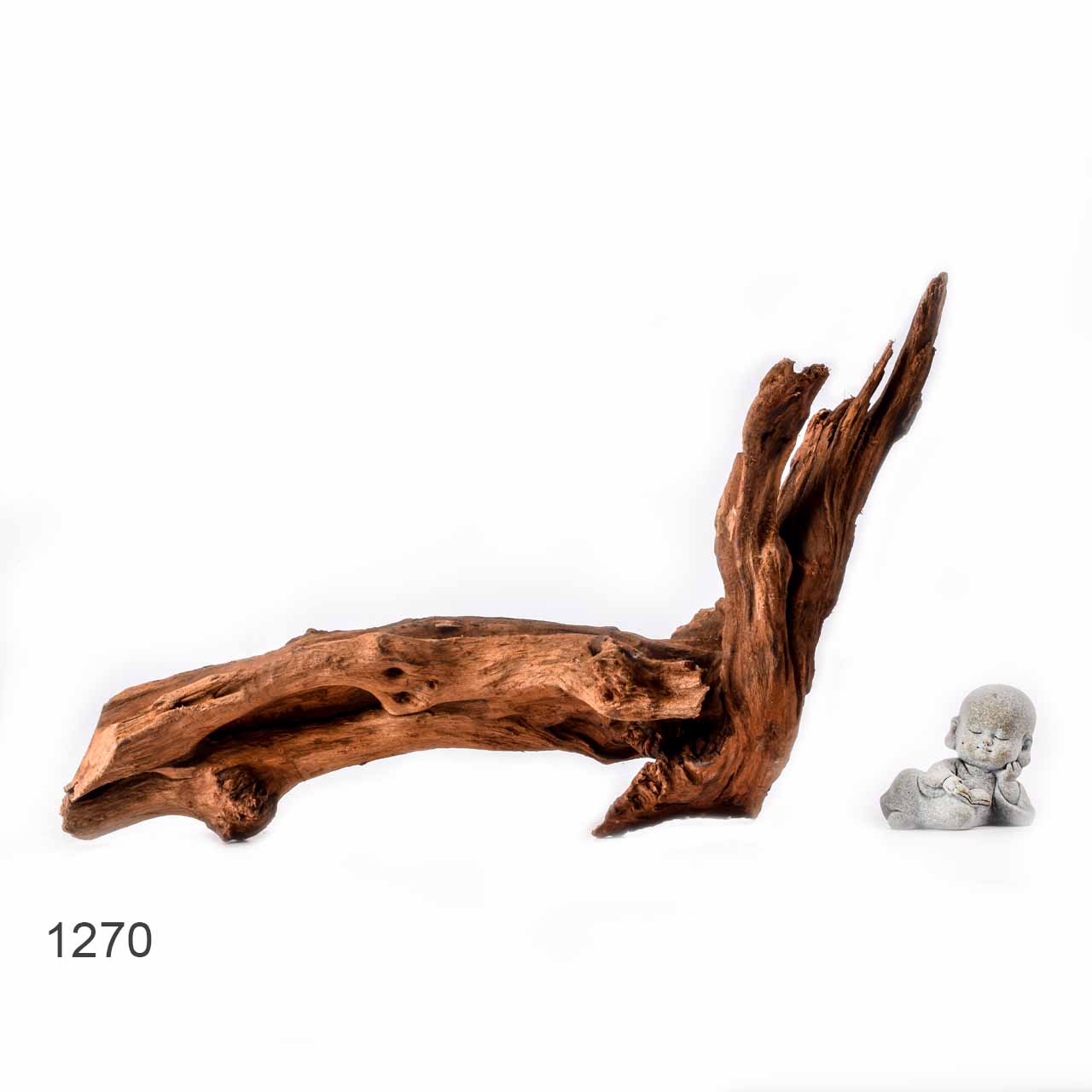 Коряга MASHA BLOOM "Железное дерево" затонувшая мангровая L - 1270