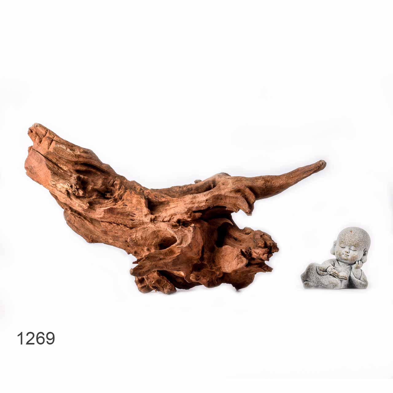 Коряга MASHA BLOOM "Железное дерево" затонувшая мангровая L - 1269