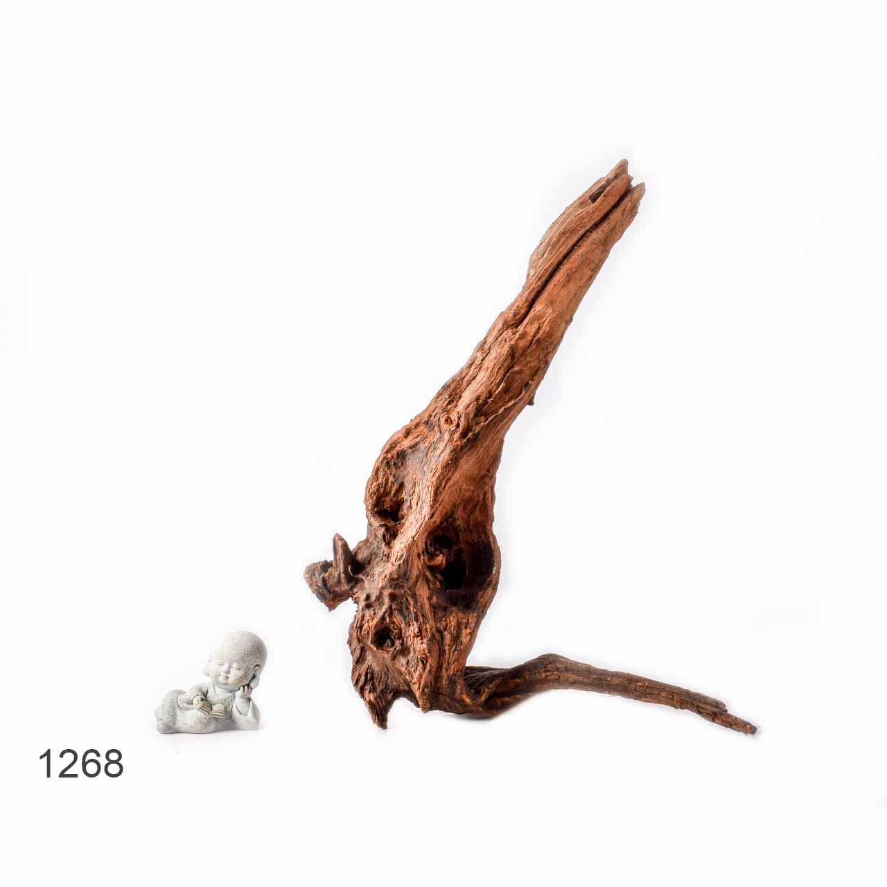 Коряга MASHA BLOOM "Железное дерево" затонувшая мангровая L - 1268