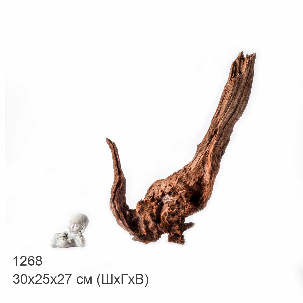Коряга MASHA BLOOM "Железное дерево" затонувшая мангровая L - 1268