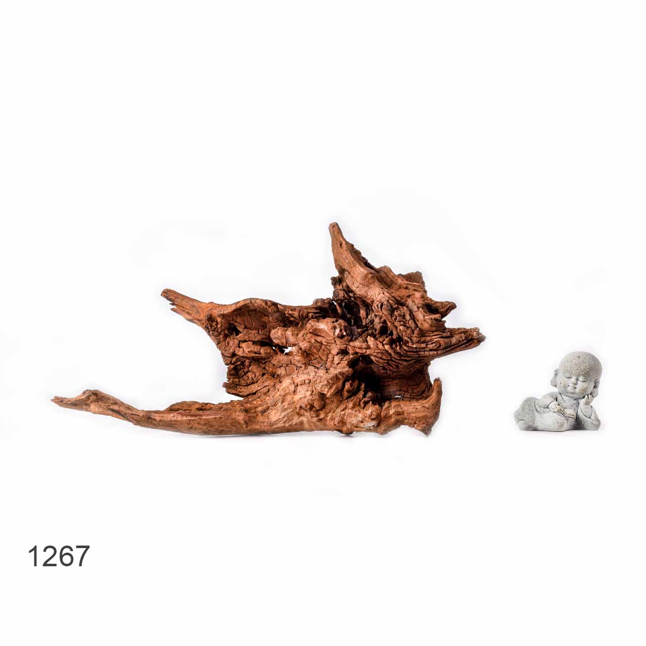 Коряга MASHA BLOOM "Железное дерево" затонувшая мангровая L - 1267