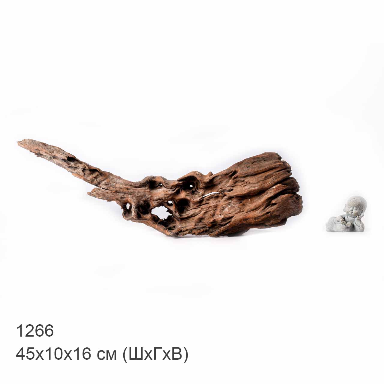 Коряга MASHA BLOOM "Железное дерево" затонувшая мангровая L - 1266