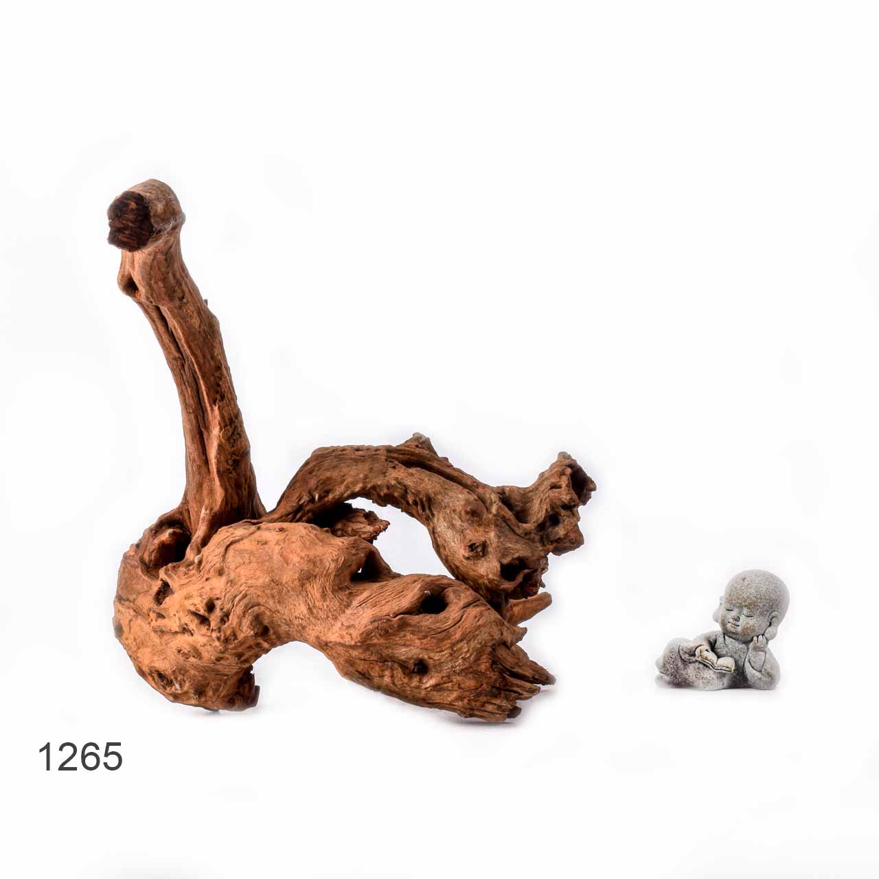 Коряга MASHA BLOOM "Железное дерево" затонувшая мангровая L - 1265