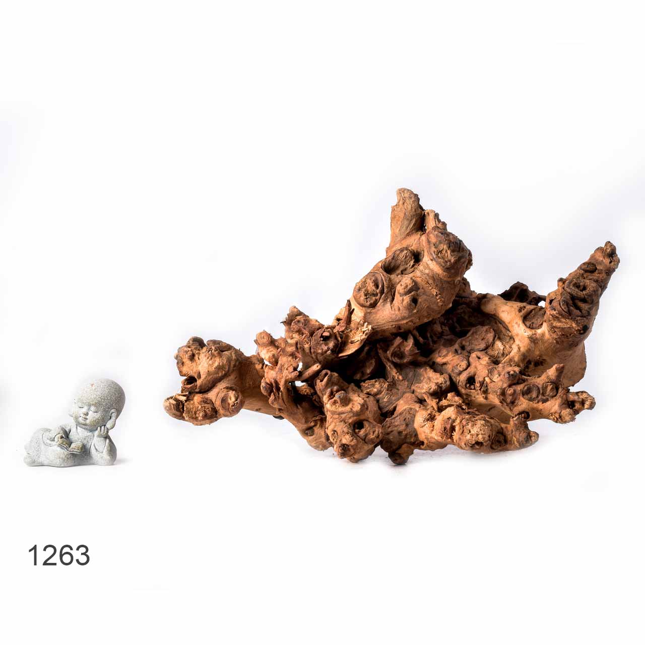 Коряга MASHA BLOOM "Железное дерево" затонувшая мангровая L - 1263