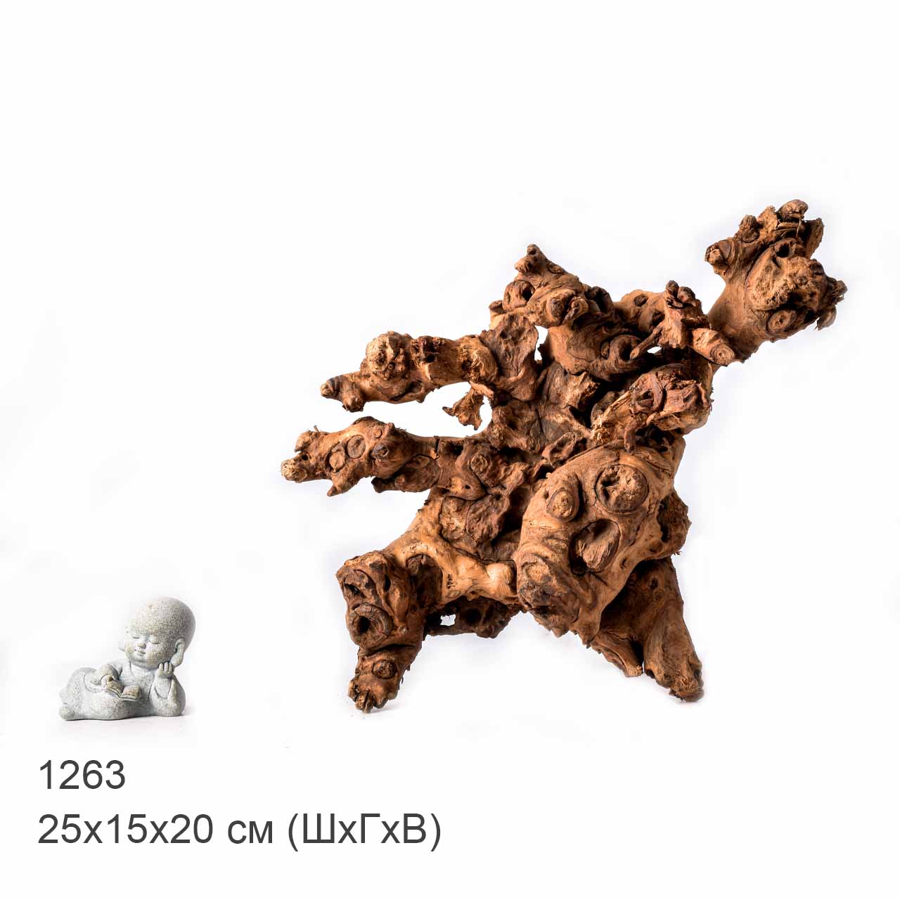 Коряга MASHA BLOOM "Железное дерево" затонувшая мангровая L - 1263