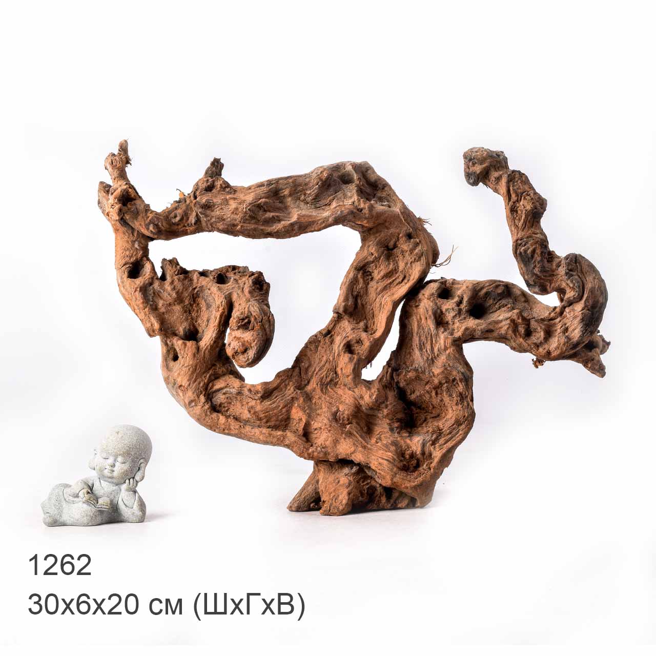 Коряга MASHA BLOOM "Железное дерево" затонувшая мангровая L - 1262