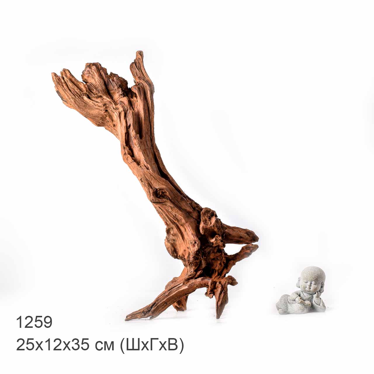 Коряга MASHA BLOOM "Железное дерево" затонувшая мангровая L - 1259