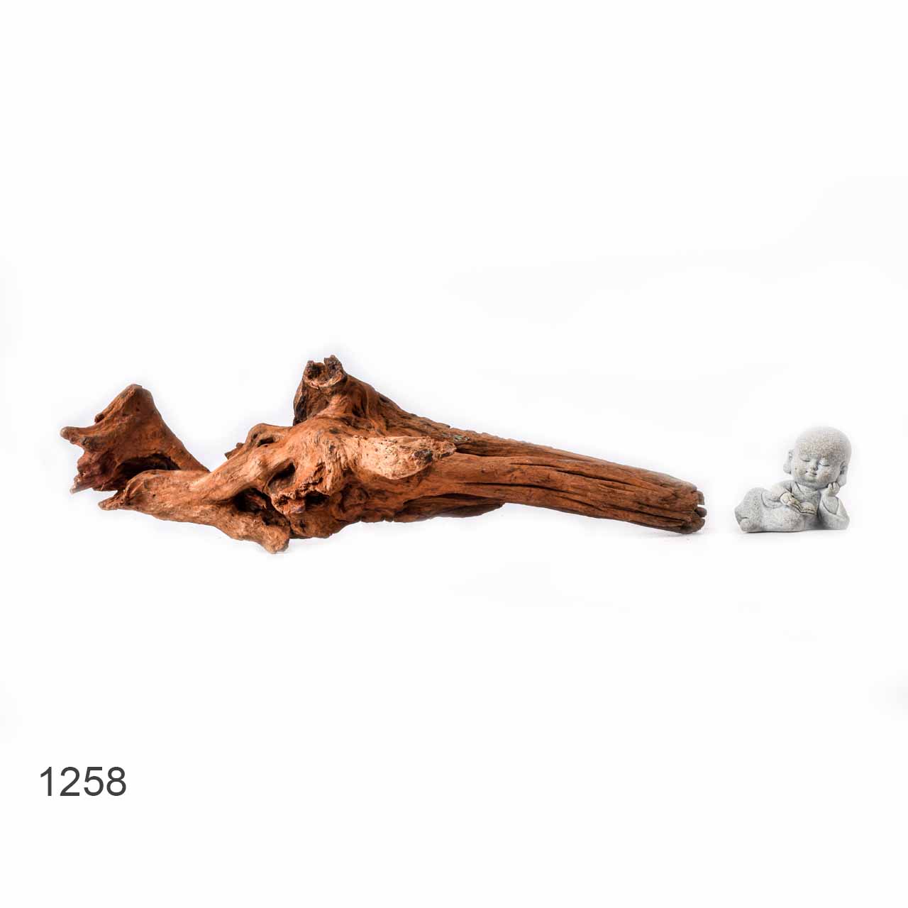 Коряга MASHA BLOOM "Железное дерево" затонувшая мангровая L - 1258