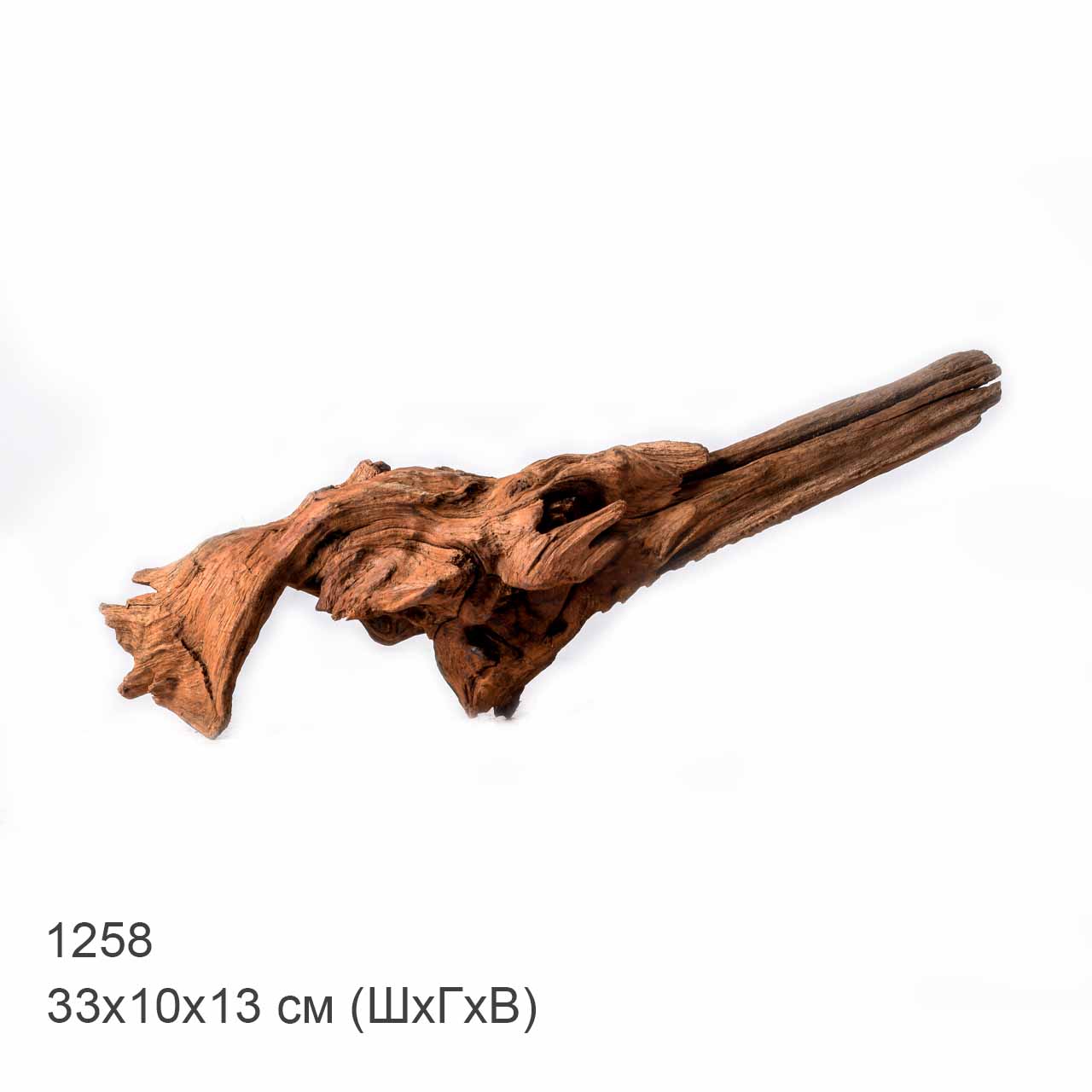 Коряга MASHA BLOOM "Железное дерево" затонувшая мангровая L - 1258