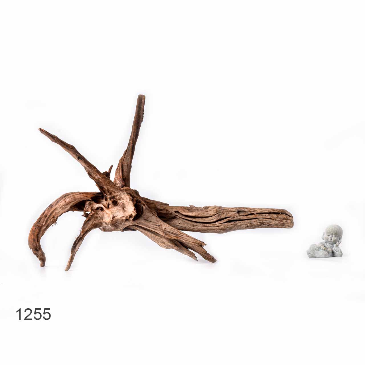 Коряга MASHA BLOOM "Железное дерево" затонувшая мангровая L - 1255