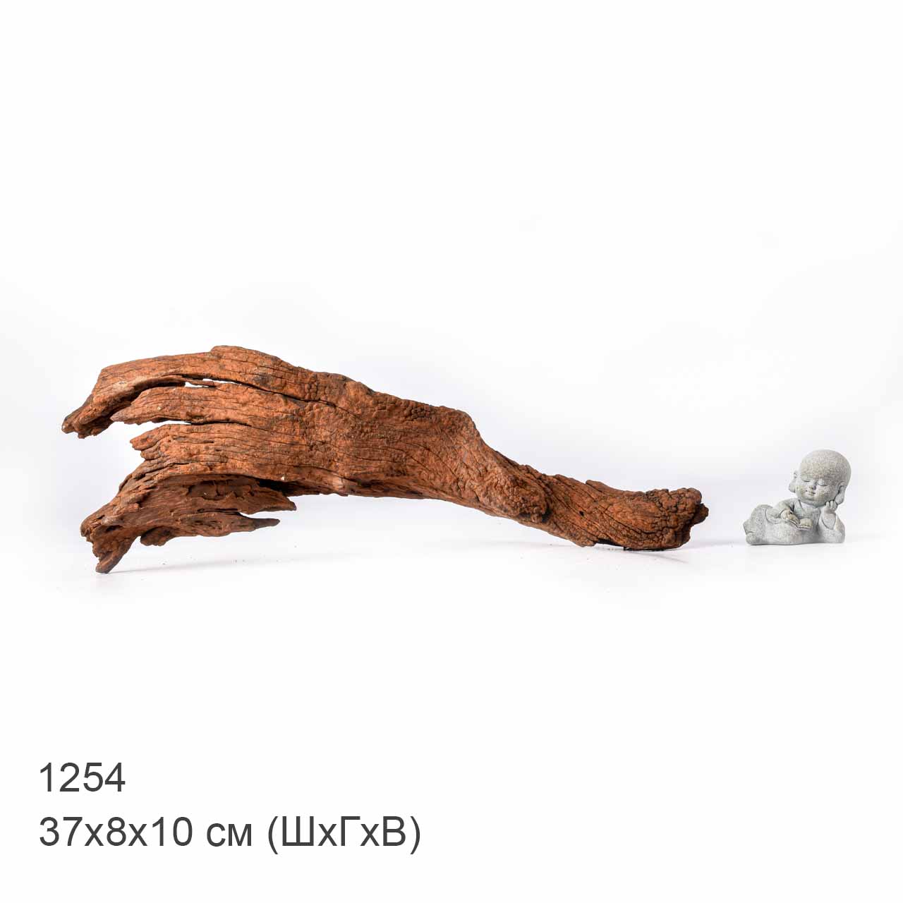 Коряга MASHA BLOOM "Железное дерево" затонувшая мангровая L - 1254