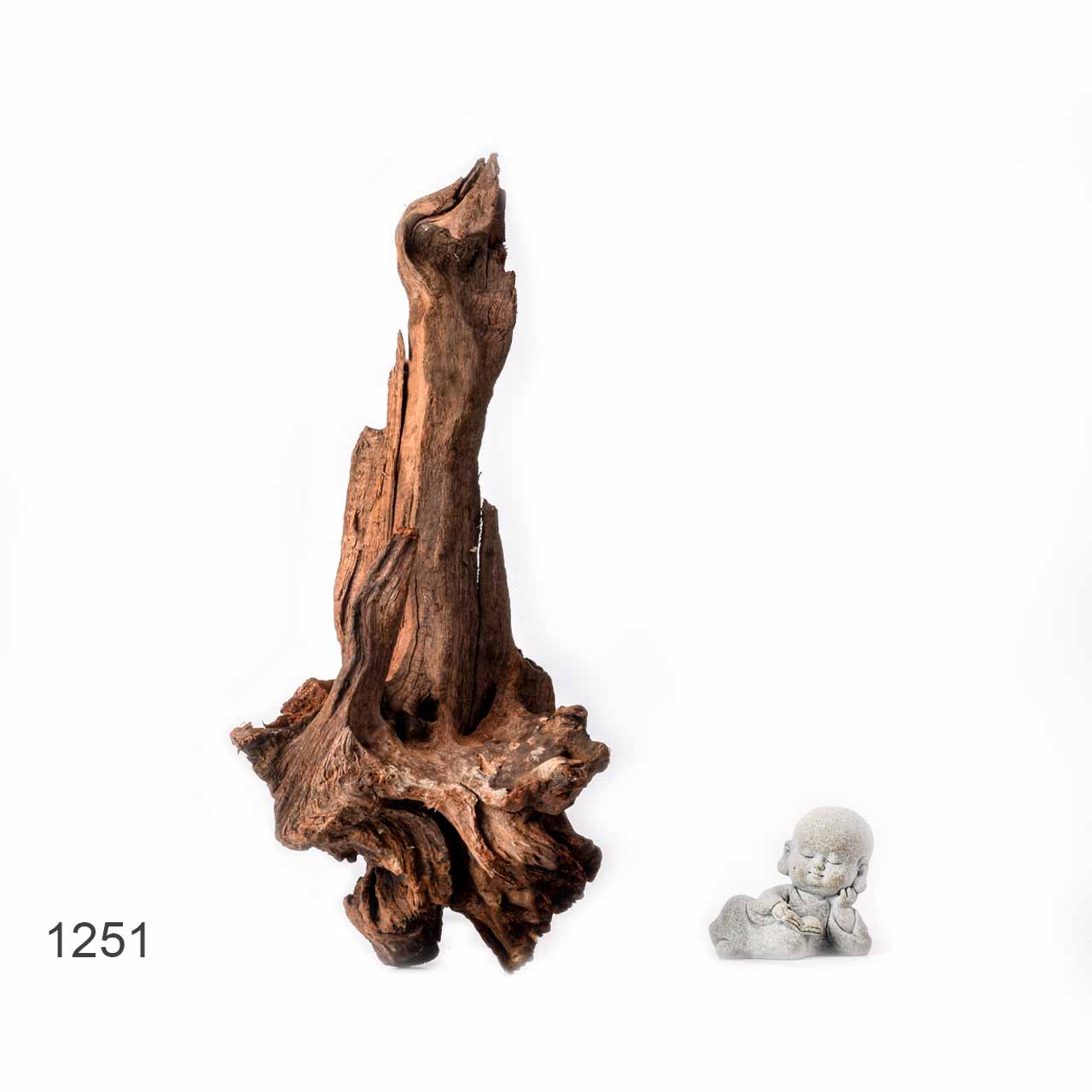 Коряга MASHA BLOOM "Железное дерево" затонувшая мангровая L - 1251