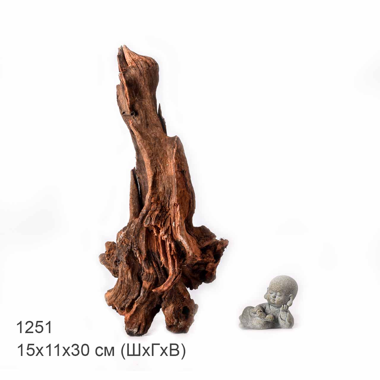 Коряга MASHA BLOOM "Железное дерево" затонувшая мангровая L - 1251