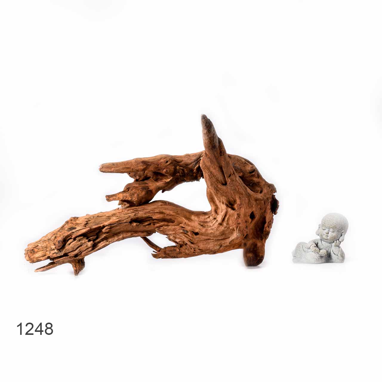 Коряга MASHA BLOOM "Железное дерево" затонувшая мангровая L - 1248