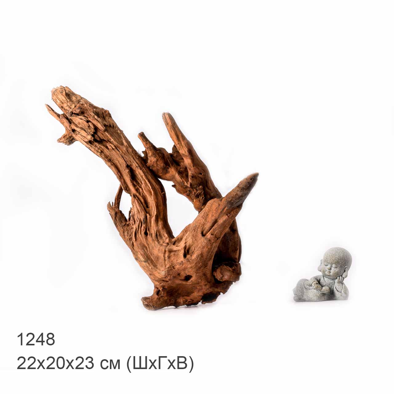 Коряга MASHA BLOOM "Железное дерево" затонувшая мангровая L - 1248