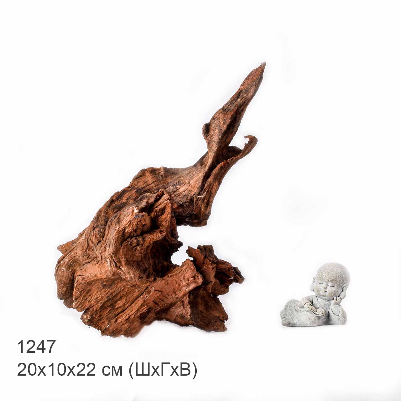 Коряга MASHA BLOOM "Железное дерево" затонувшая мангровая L - 1247