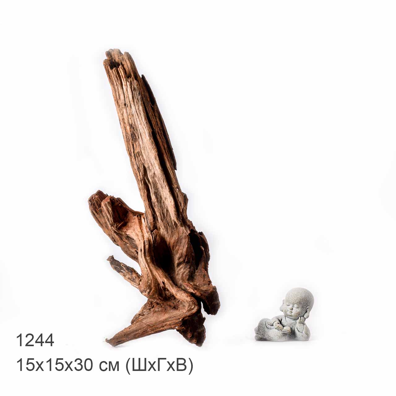 Коряга MASHA BLOOM "Железное дерево" затонувшая мангровая L - 1244