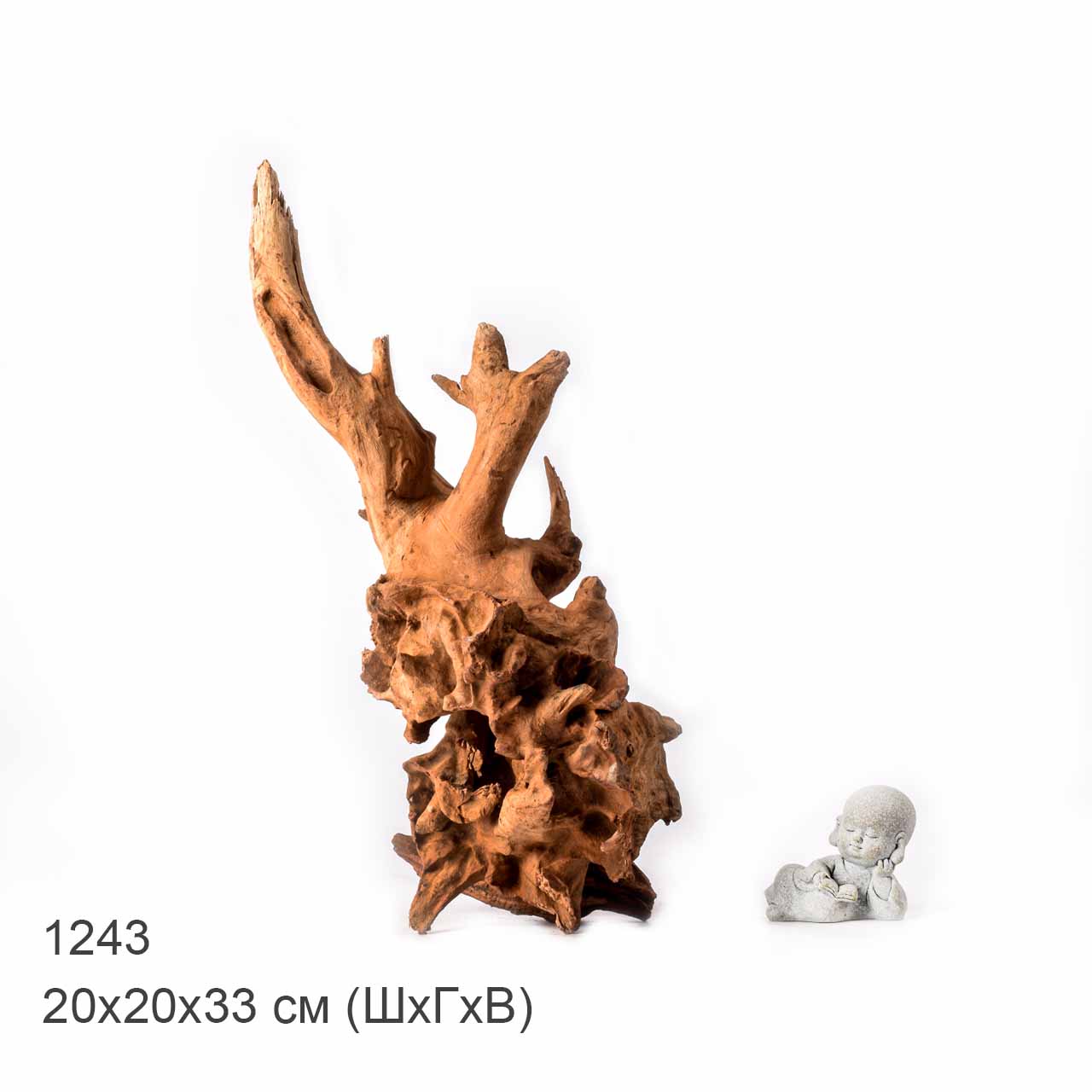 Коряга MASHA BLOOM "Железное дерево" затонувшая мангровая L - 1243