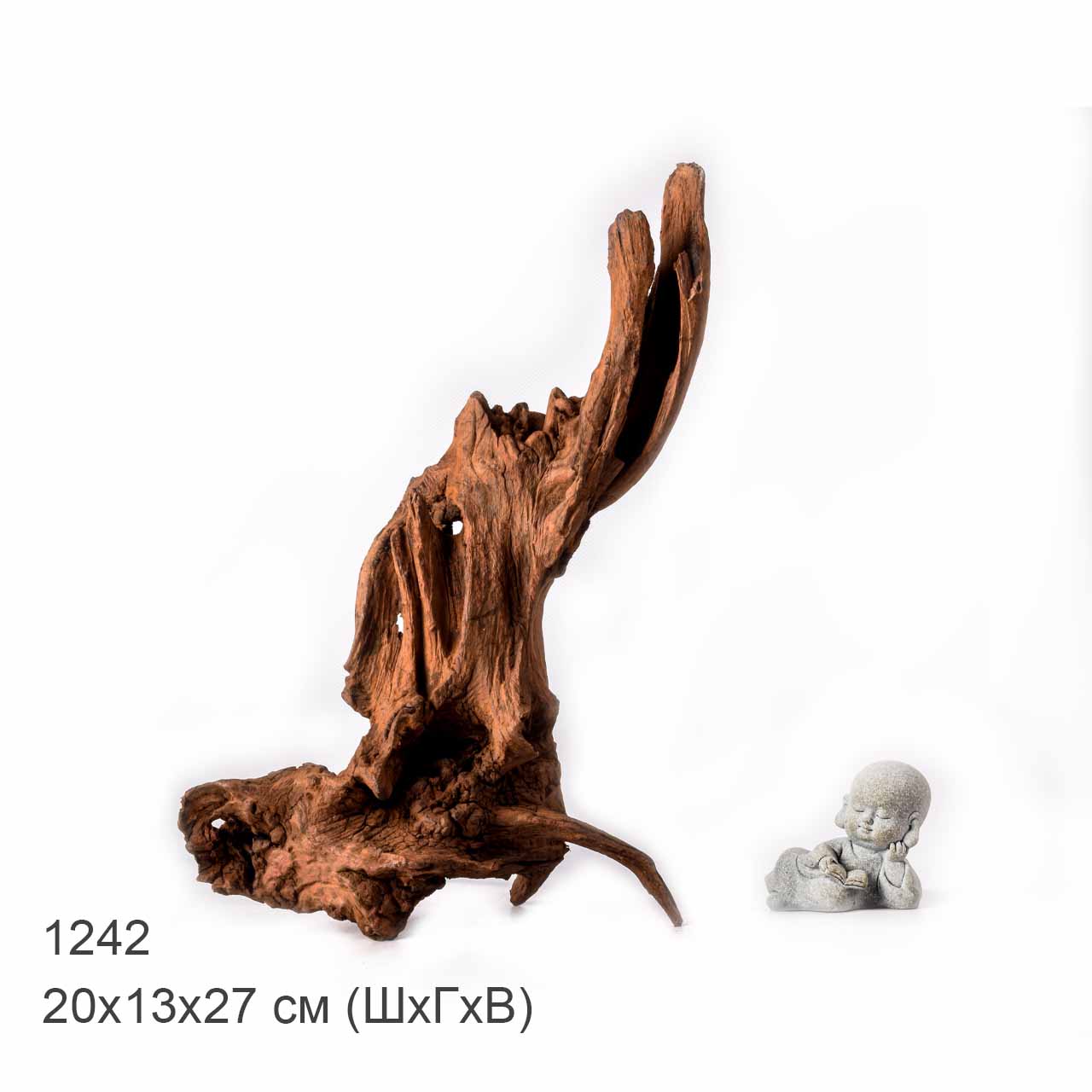 Коряга MASHA BLOOM "Железное дерево" затонувшая мангровая L - 1242