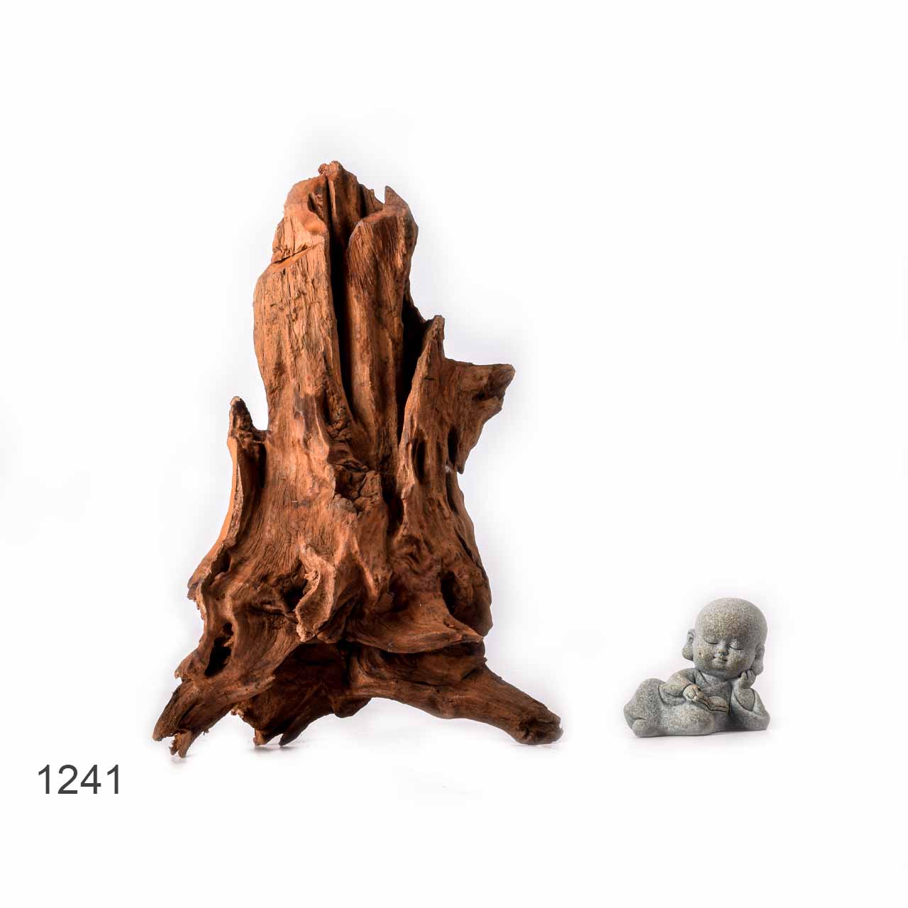 Коряга MASHA BLOOM "Железное дерево" затонувшая мангровая L - 1241