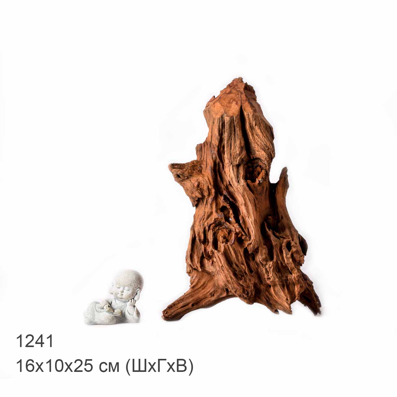 Коряга MASHA BLOOM "Железное дерево" затонувшая мангровая L - 1241