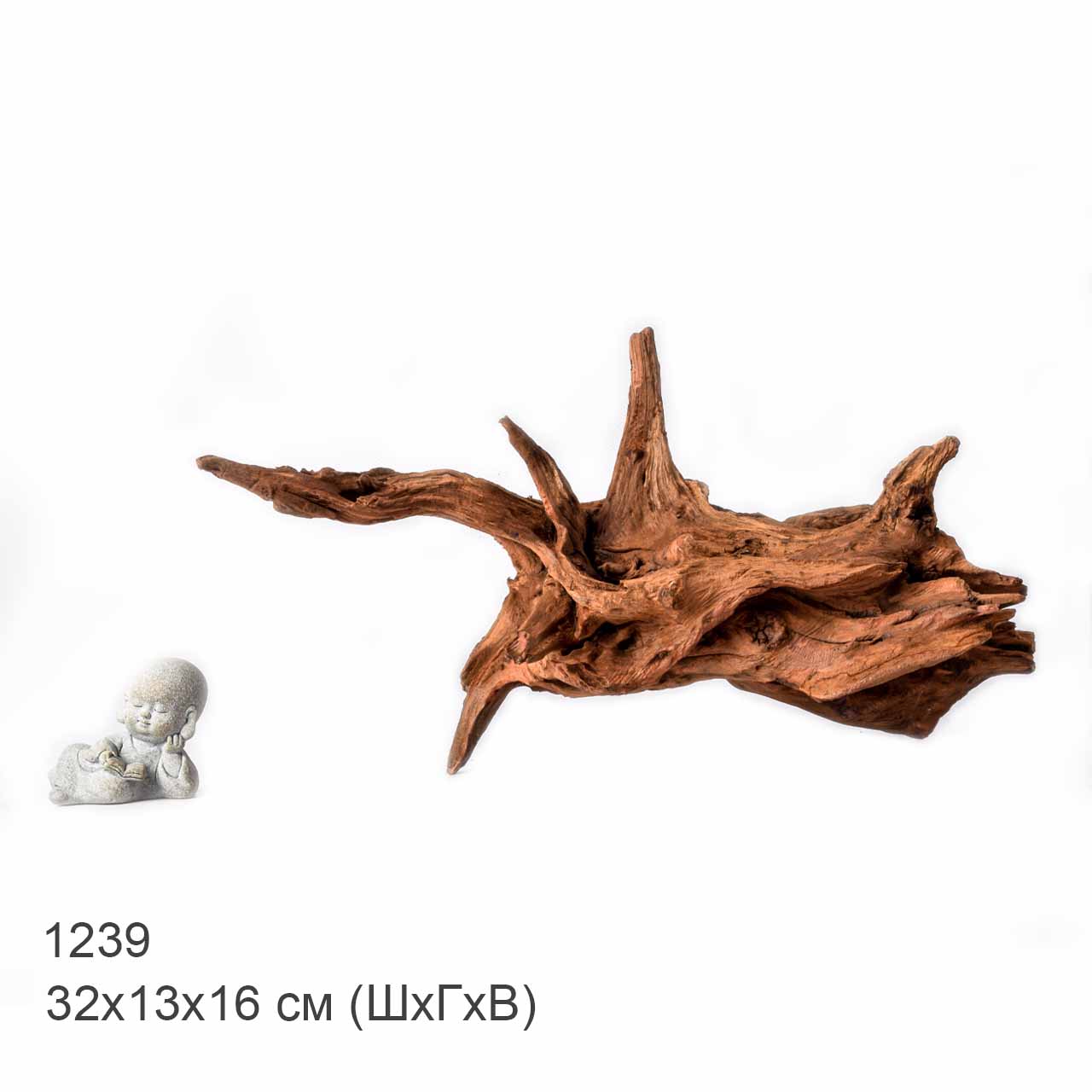 Коряга MASHA BLOOM "Железное дерево" затонувшая мангровая L - 1239